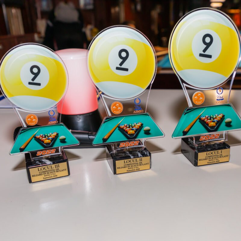 Portofoliu Corporate 239 Foto 198