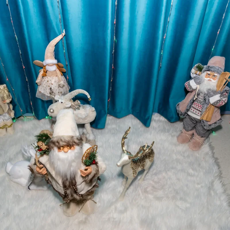 Foto serbare spectacol 15