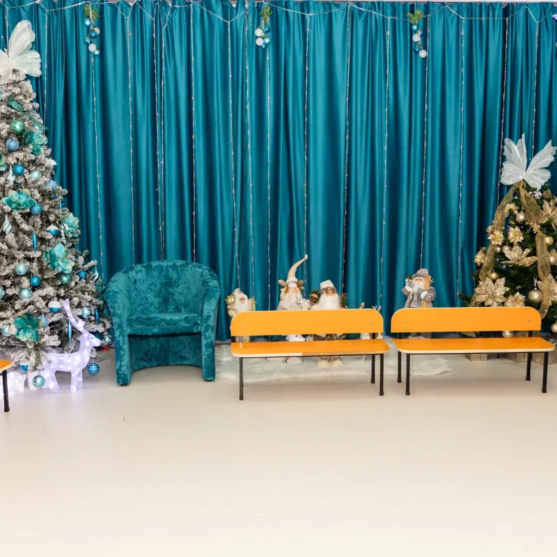 Foto serbare spectacol 27