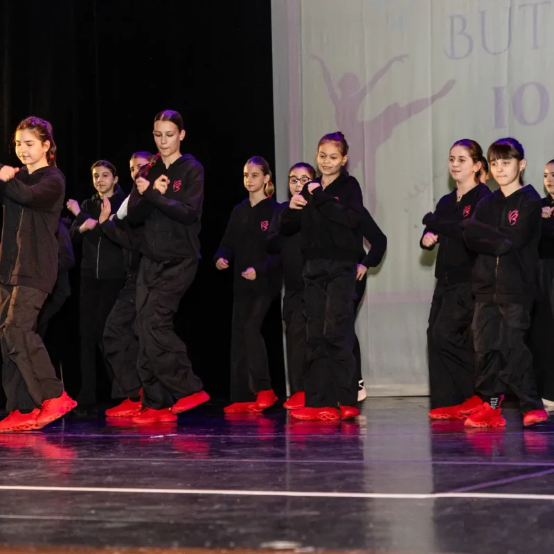 Foto serbare spectacol 28