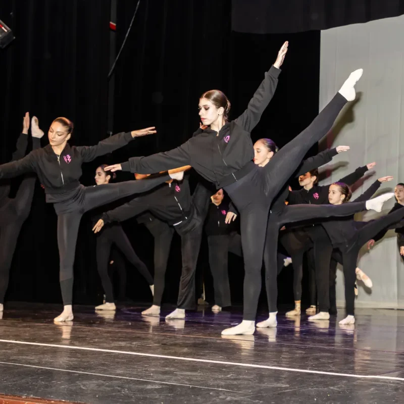 Foto serbare spectacol 29