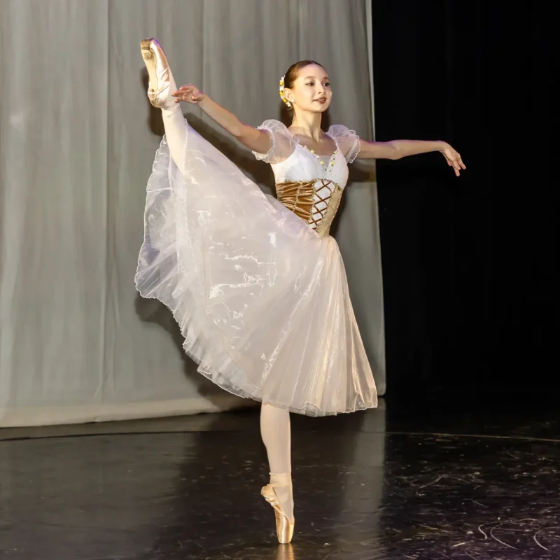 Foto serbare spectacol 32