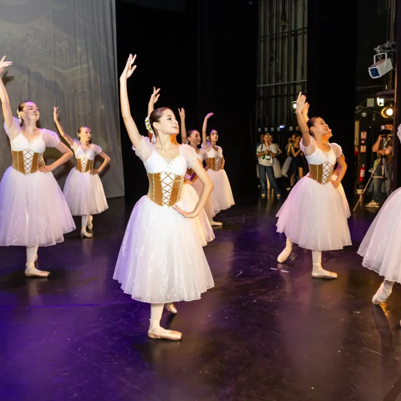 Foto serbare spectacol 33