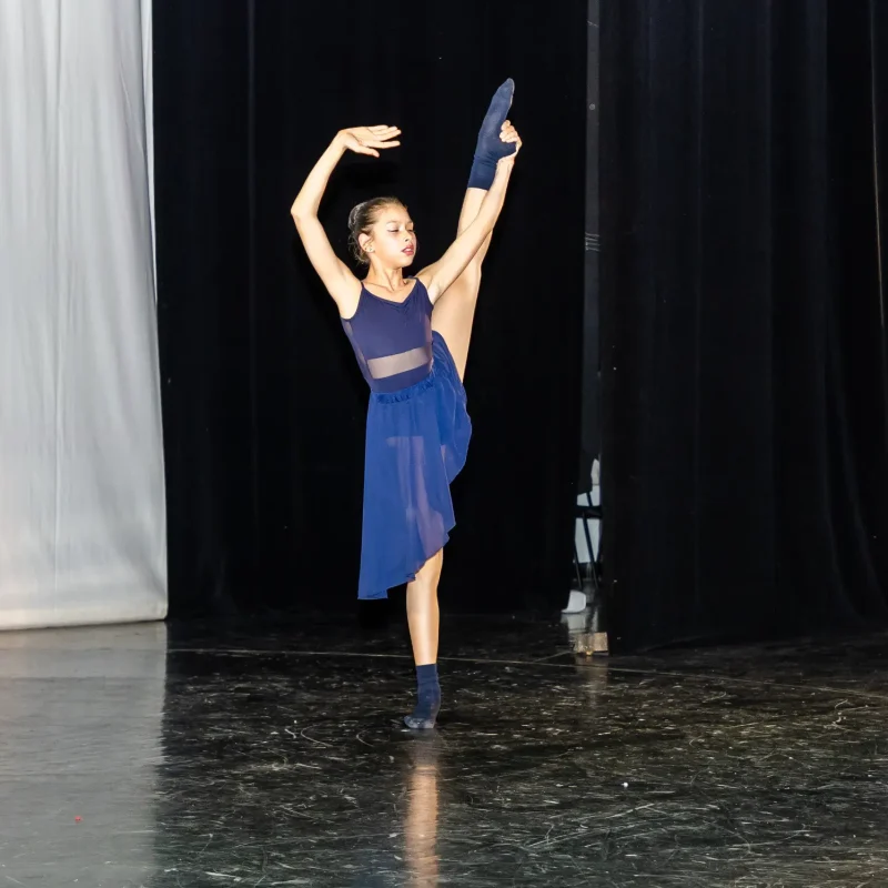 Foto serbare spectacol 34