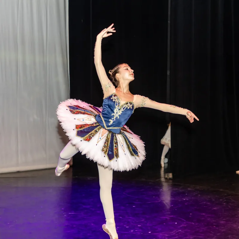 Foto serbare spectacol 36