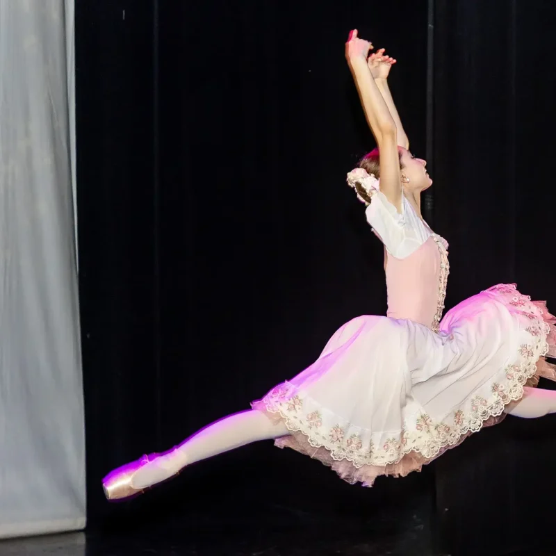 Foto serbare spectacol 37