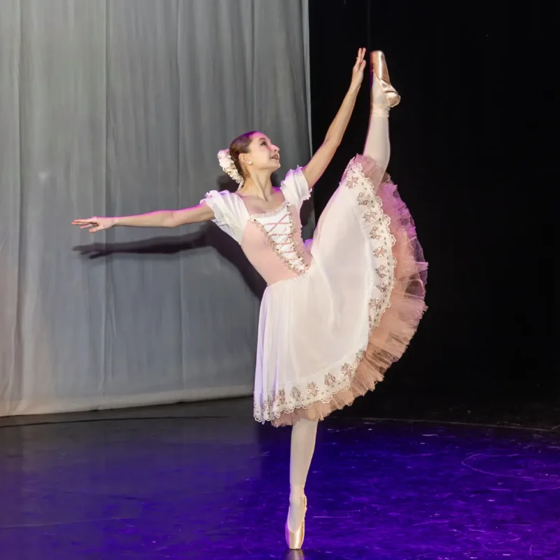 Foto serbare spectacol 38