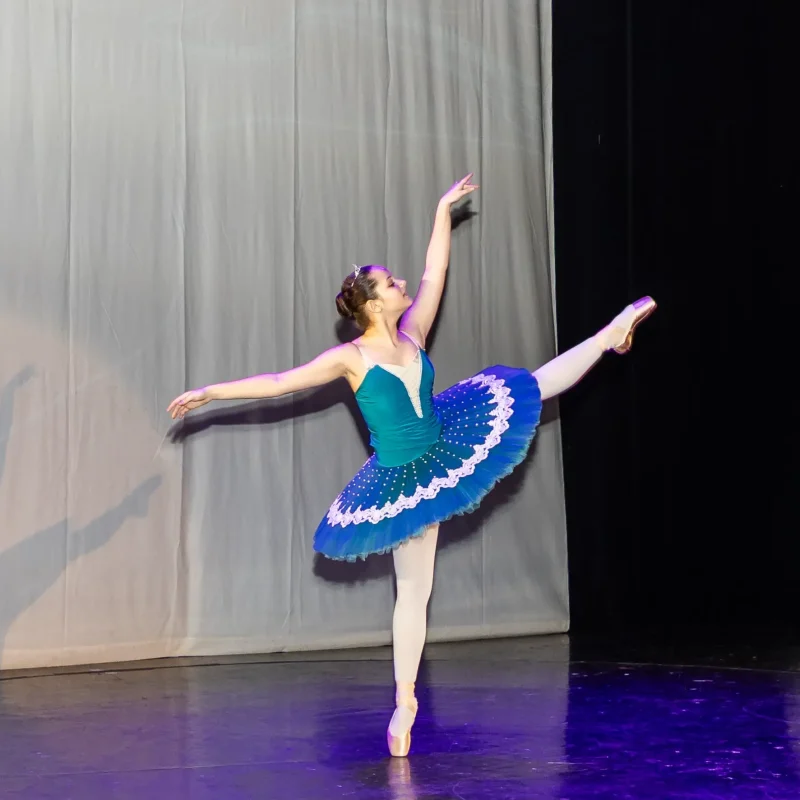 Foto serbare spectacol 39