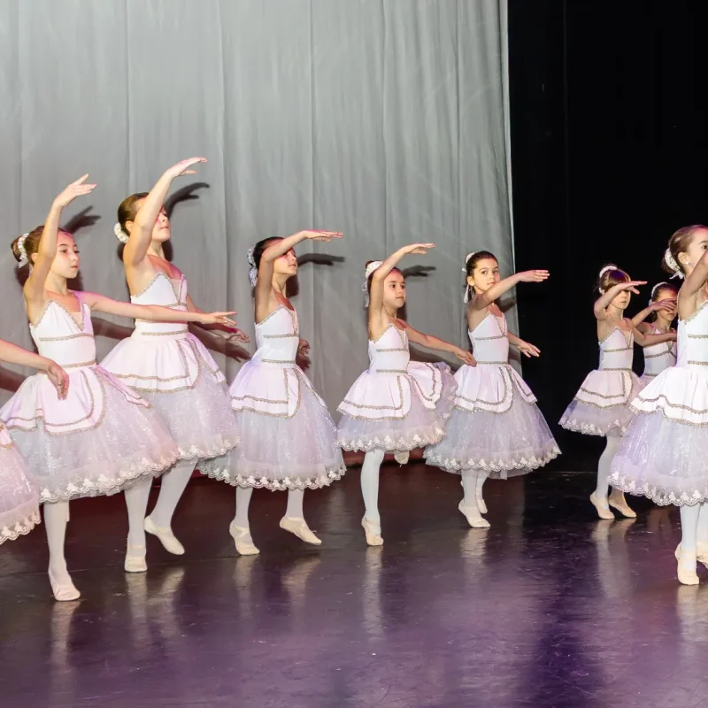 Foto serbare spectacol 40