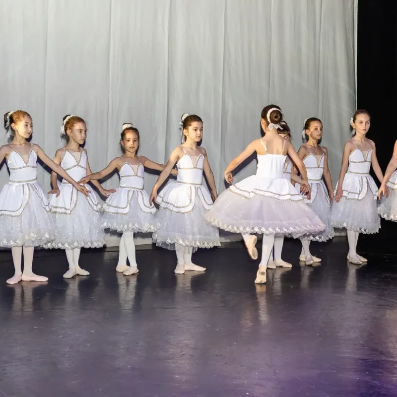 Foto serbare spectacol 41