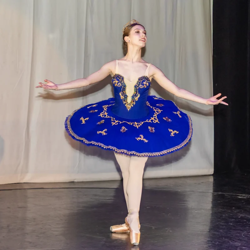 Foto serbare spectacol 42