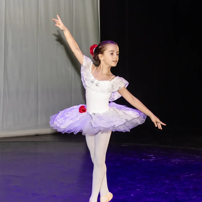 Foto serbare spectacol 43