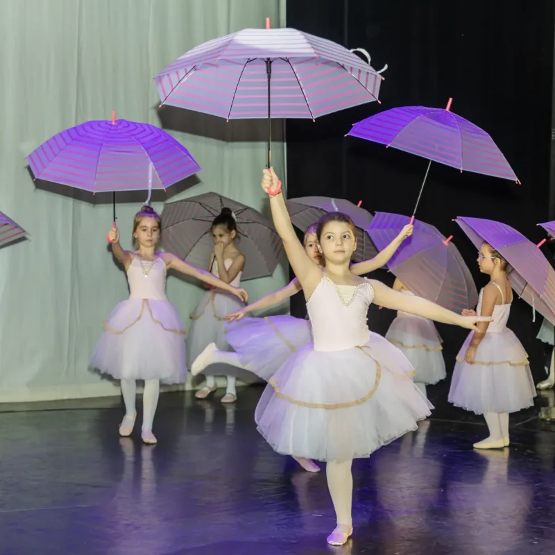 Foto serbare spectacol 44