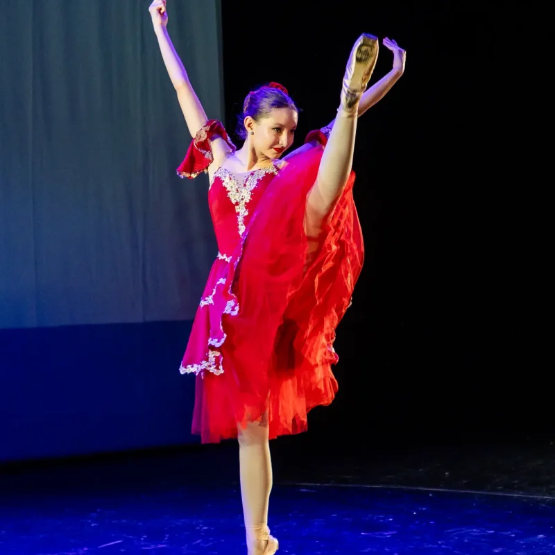 Foto serbare spectacol 47