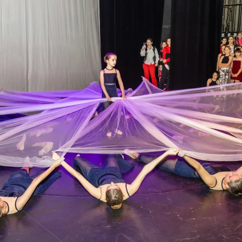 Foto serbare spectacol 49