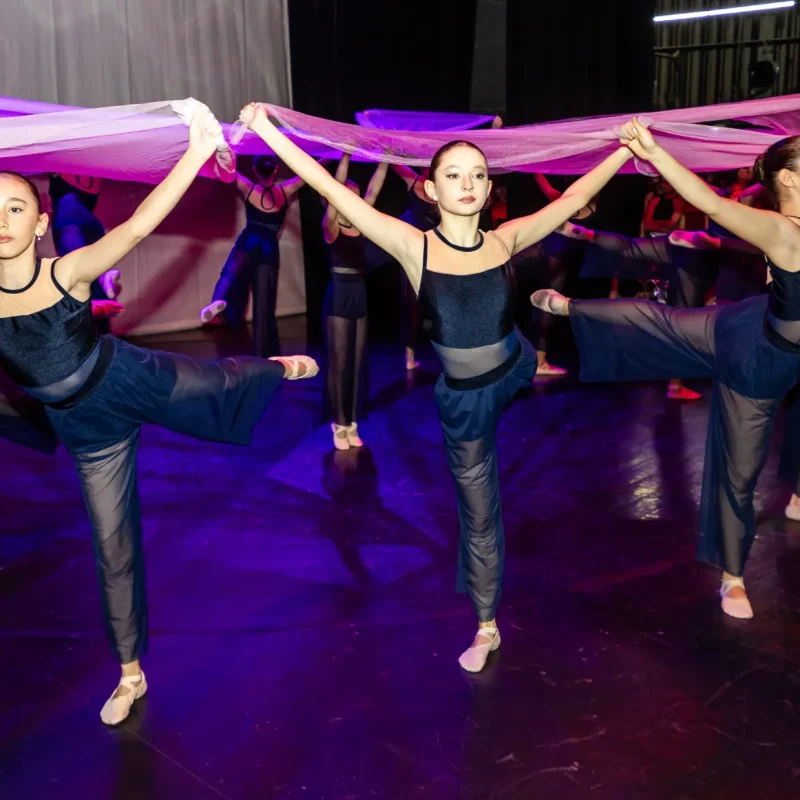 Foto serbare spectacol 50