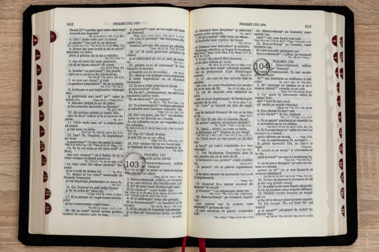 Biblia deschisă, detaliu din ziua nunții
